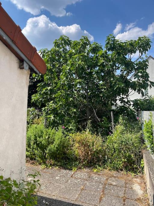 Lovely House Close To Paris Vitry-sur-Seine Exteriér fotografie